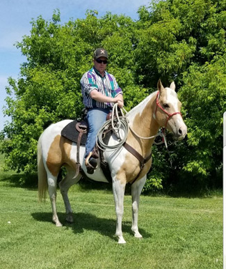 quarter horse mares bred for cutting and western pleasure